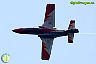 Patrulla Águila
