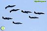 Patrulla Águila