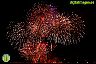 Pregón y Fuegos Artificiales Feria Málaga 2009