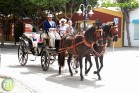 Feria de Málaga 2024 - Miércoles