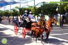 Feria de Málaga 2017 - Viernes en El Real