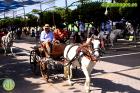 Feria de Málaga 2017 - Viernes en El Real
