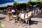 Feria de Málaga 2017 - Viernes en El Real
