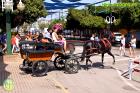Feria de Málaga 2017 - Viernes en El Real