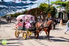 Feria de Málaga 2019 - Martes