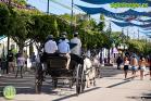 Feria de Málaga 2019 - Martes