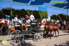 Feria de Málaga 2022 - Viernes en El Real