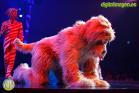 KOOZA - Cirque Du Soleil en Málaga
