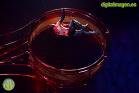 KOOZA - Cirque Du Soleil en Málaga