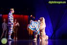 KOOZA - Cirque Du Soleil en Málaga