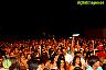 Concierto de Macaco en Álora