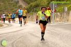 XV Media Maratón Álora Valle del Sol
