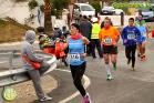 XV Media Maratón Álora Valle del Sol