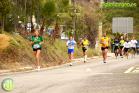 XV Media Maratón Álora Valle del Sol