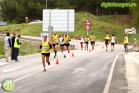 XV Media Maratón Álora Valle del Sol