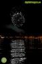 Fiesta 12 aniversario de MoonLightBoaT