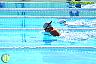 XXVI Circuito Provincial de Natación
