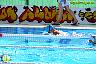 XXVI Circuito Provincial de Natación