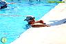 XXVI Circuito Provincial de Natación