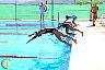 XXVI Circuito Provincial de Natación