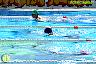XXVI Circuito Provincial de Natación