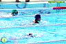 XXVI Circuito Provincial de Natación
