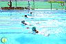 XXVI Circuito Provincial de Natación