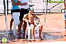 XXVI Circuito Provincial de Natación