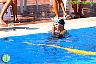 XXVI Circuito Provincial de Natación