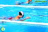 XXVI Circuito Provincial de Natación