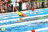 XXVI Circuito Provincial de Natación