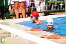 XXVI Circuito Provincial de Natación