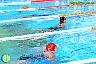 XXVI Circuito Provincial de Natación