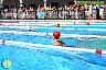 XXVI Circuito Provincial de Natación