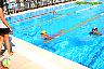 XXVI Circuito Provincial de Natación
