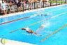 XXVI Circuito Provincial de Natación