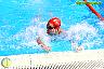 XXVI Circuito Provincial de Natación