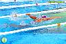 XXVI Circuito Provincial de Natación