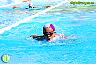 XXVI Circuito Provincial de Natación