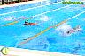 XXVI Circuito Provincial de Natación