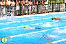 XXVI Circuito Provincial de Natación