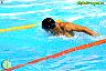 XXVI Circuito Provincial de Natación