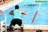XXVI Circuito Provincial de Natación