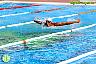XXVI Circuito Provincial de Natación