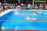 XXVI Circuito Provincial de Natación