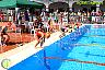 XXVI Circuito Provincial de Natación