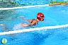 XXVI Circuito Provincial de Natación