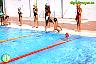 XXVI Circuito Provincial de Natación