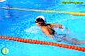 XXVI Circuito Provincial de Natación