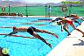 XXVI Circuito Provincial de Natación